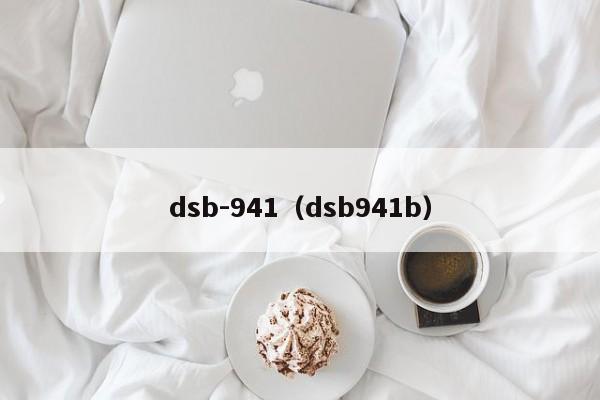 dsb-941（dsb941b）